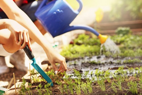 Professional hedge trimming service in a Ruislip garden