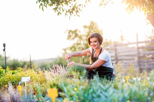 Professional lawn mowing service in Ruislip garden