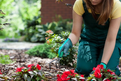 Overgrown garden being cleared by experts in Ruislip