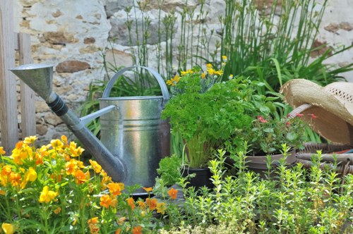 Lawn care services including edging and trimming