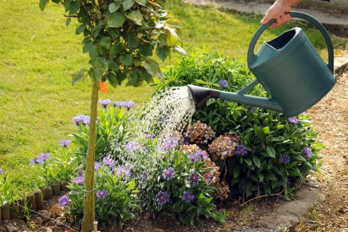 Professional pruning techniques in a Ruislip garden
