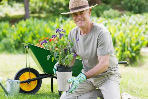 Expert trimming techniques applied to garden hedges