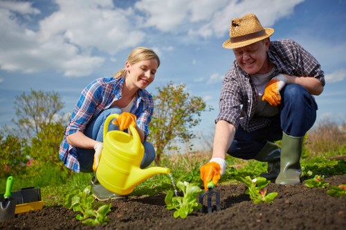 Cost-effective lawn care solutions for Ruislip homeowners