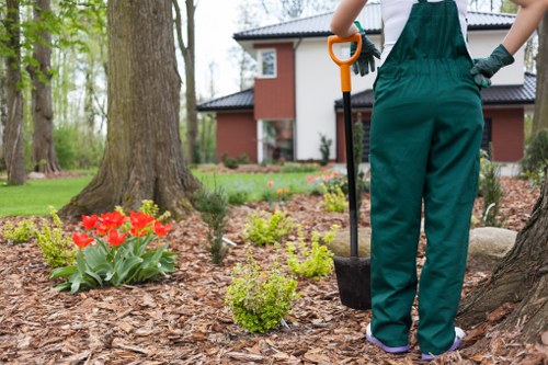 Local lawn mowing experts maintaining a healthy lawn