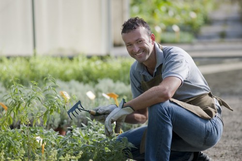 Popular plants and water features in a Ruislip garden